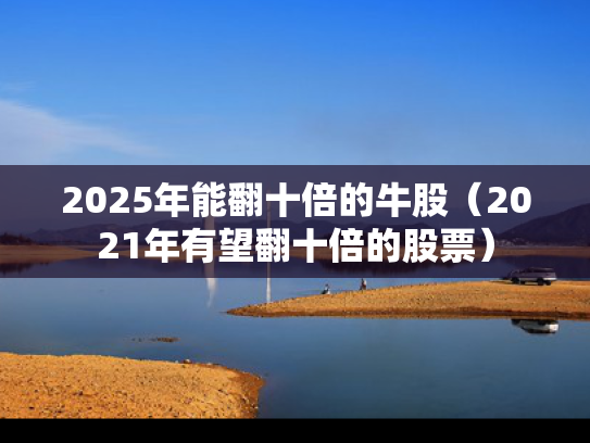 2025年能翻十倍的牛股（2021年有望翻十倍的股票）