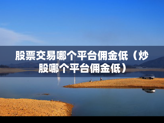 股票交易哪个平台佣金低（炒股哪个平台佣金低）