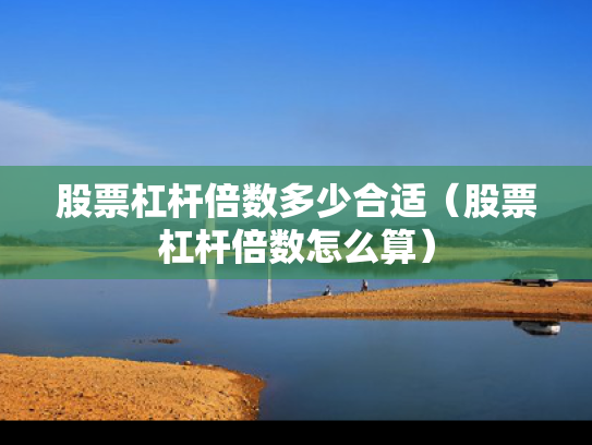 股票杠杆倍数多少合适（股票杠杆倍数怎么算）