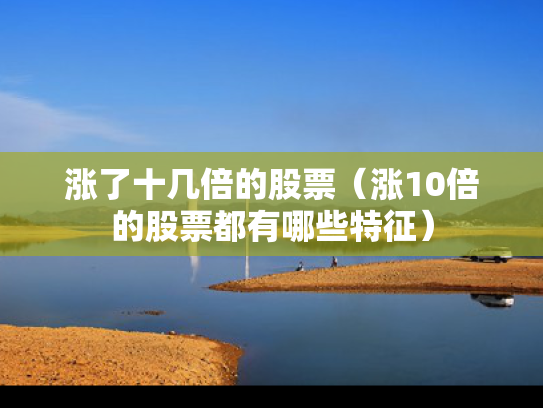 涨了十几倍的股票（涨10倍的股票都有哪些特征）