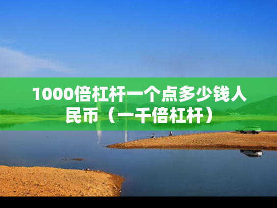 1000倍杠杆一个点多少钱人民币（一千倍杠杆）