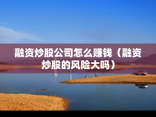 融资炒股公司怎么赚钱（融资炒股的风险大吗）