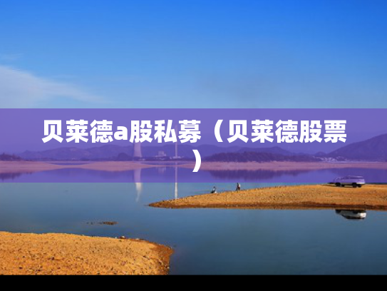 贝莱德a股私募（贝莱德股票）