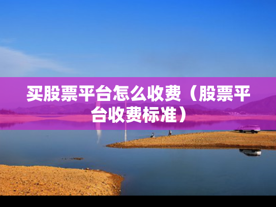 买股票平台怎么收费（股票平台收费标准）
