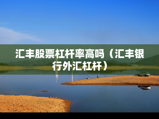汇丰股票杠杆率高吗（汇丰银行外汇杠杆）