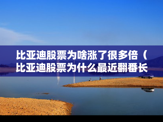 比亚迪股票为啥涨了很多倍（比亚迪股票为什么最近翻番长）