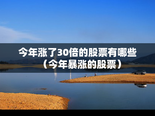 今年涨了30倍的股票有哪些（今年暴涨的股票）