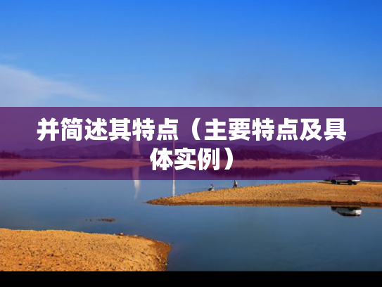 并简述其特点（主要特点及具体实例）