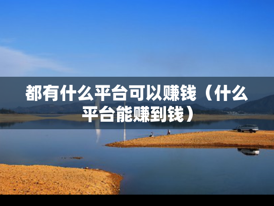 都有什么平台可以赚钱（什么平台能赚到钱）
