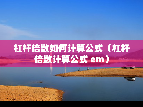 杠杆倍数如何计算公式（杠杆倍数计算公式 em）