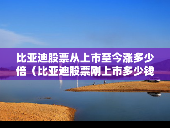 比亚迪股票从上市至今涨多少倍（比亚迪股票刚上市多少钱一股）