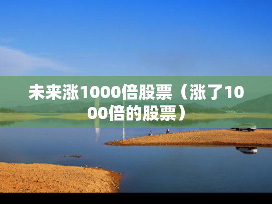 未来涨1000倍股票（涨了1000倍的股票）