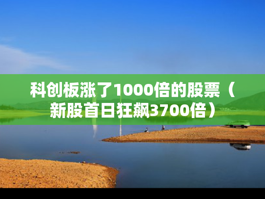 科创板涨了1000倍的股票（新股首日狂飙3700倍）