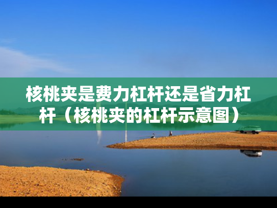 核桃夹是费力杠杆还是省力杠杆（核桃夹的杠杆示意图）