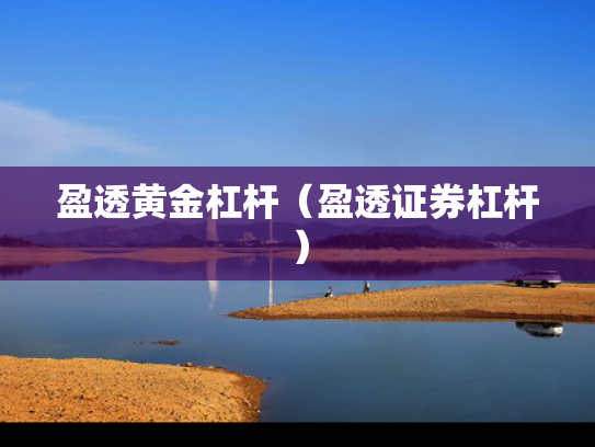 盈透黄金杠杆（盈透证券杠杆）