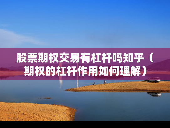 股票期权交易有杠杆吗知乎（期权的杠杆作用如何理解）