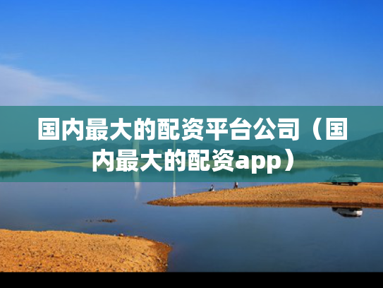 国内最大的配资平台公司（国内最大的配资app）