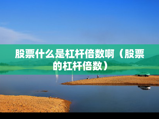 股票什么是杠杆倍数啊（股票的杠杆倍数）