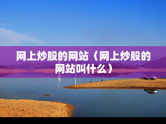 网上炒股的网站（网上炒股的网站叫什么）