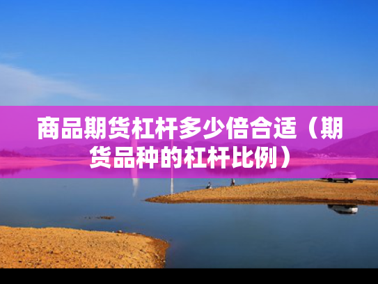 商品期货杠杆多少倍合适（期货品种的杠杆比例）