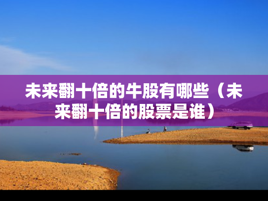 未来翻十倍的牛股有哪些（未来翻十倍的股票是谁）