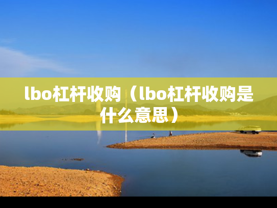 lbo杠杆收购（lbo杠杆收购是什么意思）