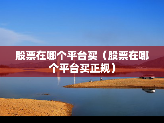 股票在哪个平台买（股票在哪个平台买正规）