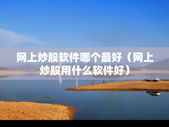 网上炒股软件哪个最好（网上炒股用什么软件好）