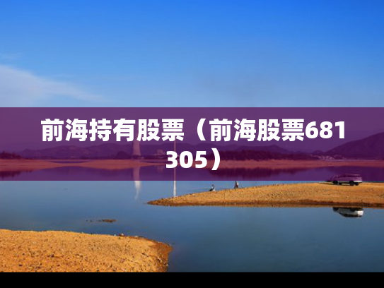 前海持有股票（前海股票681305）