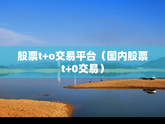 股票t+o交易平台（国内股票t+0交易）