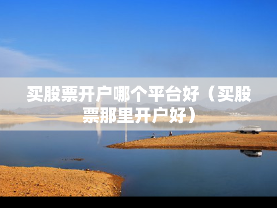 买股票开户哪个平台好（买股票那里开户好）