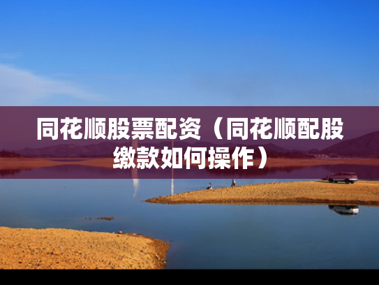 同花顺股票配资（同花顺配股缴款如何操作）