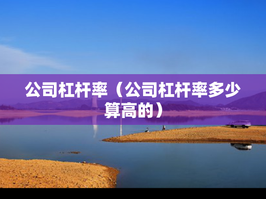 公司杠杆率（公司杠杆率多少算高的）