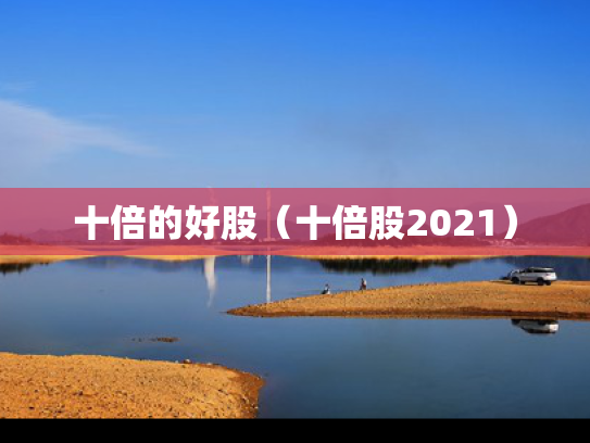 十倍的好股（十倍股2021）
