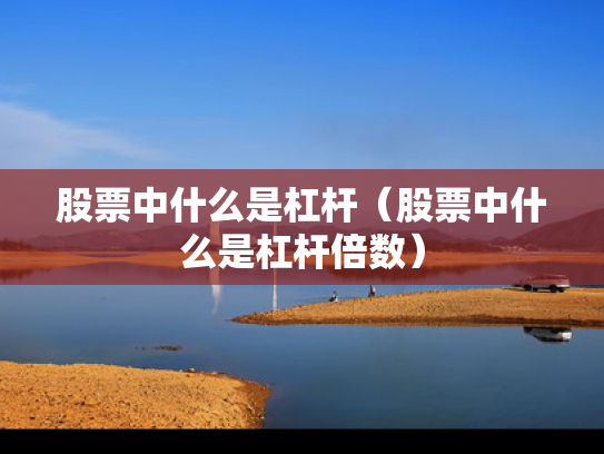 股票中什么是杠杆（股票中什么是杠杆倍数）