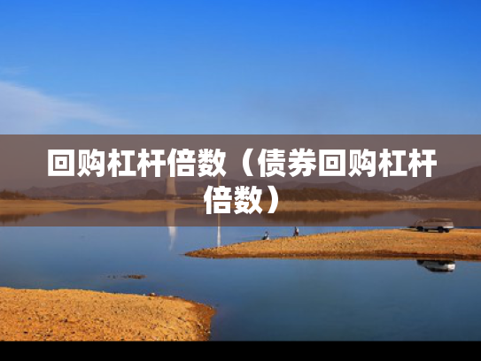 回购杠杆倍数（债券回购杠杆倍数）