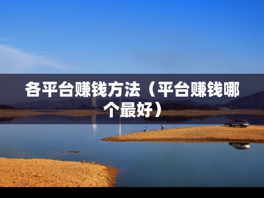 各平台赚钱方法（平台赚钱哪个最好）