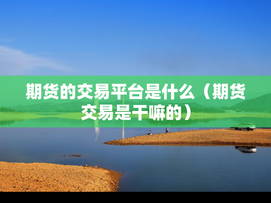 期货的交易平台是什么（期货交易是干嘛的）