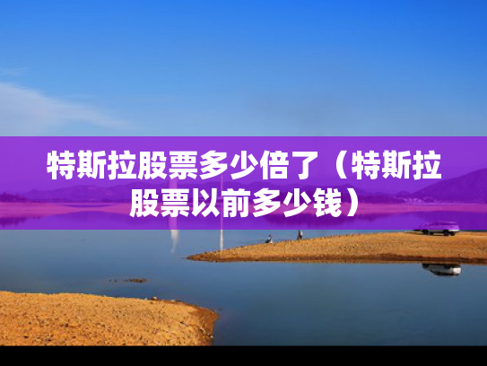 特斯拉股票多少倍了（特斯拉股票以前多少钱）