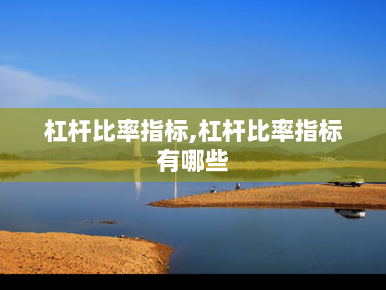 杠杆比率指标,杠杆比率指标有哪些