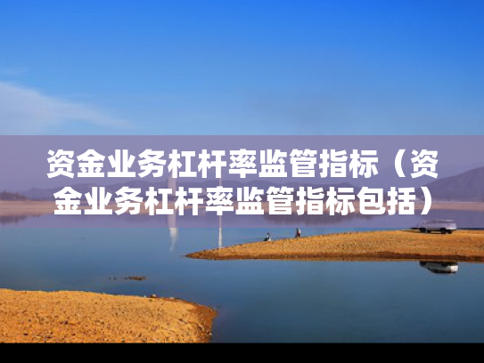 资金业务杠杆率监管指标（资金业务杠杆率监管指标包括）