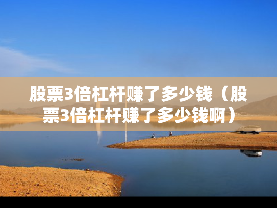 股票3倍杠杆赚了多少钱（股票3倍杠杆赚了多少钱啊）