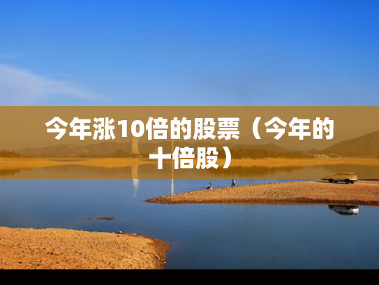 今年涨10倍的股票（今年的十倍股）