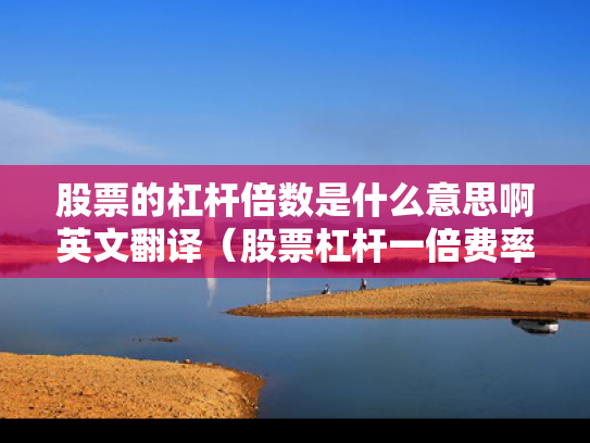 股票的杠杆倍数是什么意思啊英文翻译（股票杠杆一倍费率多少）