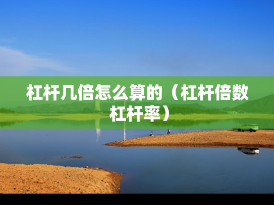 杠杆几倍怎么算的（杠杆倍数 杠杆率）