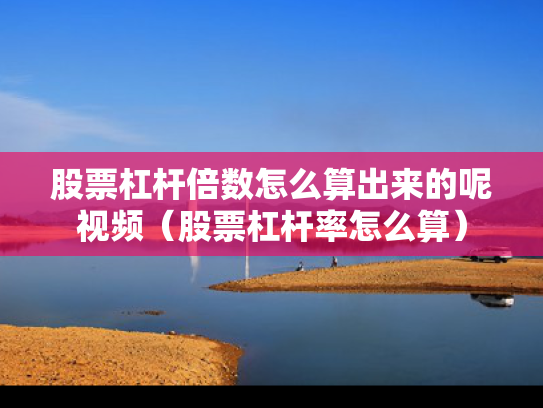股票杠杆倍数怎么算出来的呢视频（股票杠杆率怎么算）