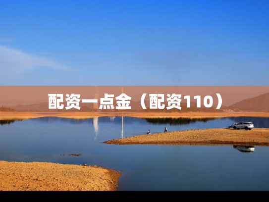 配资一点金（配资110）