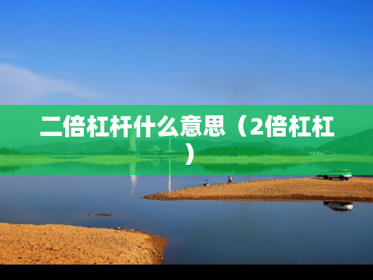 二倍杠杆什么意思（2倍杠杠）