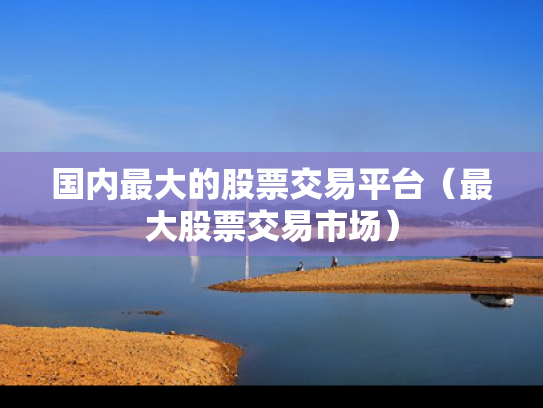 国内最大的股票交易平台（最大股票交易市场）