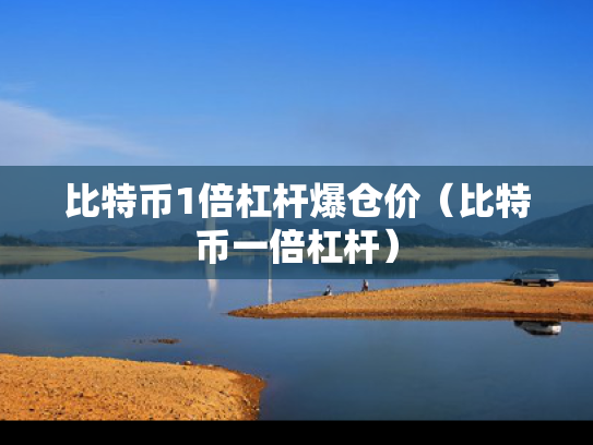 比特币1倍杠杆爆仓价（比特币一倍杠杆）